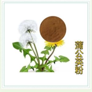 蒲公英粉