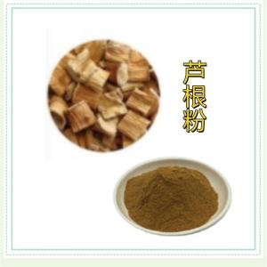 芦根粉 芦根提取物浓缩粉
