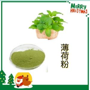 薄荷粉99% 水溶 薄荷浓缩粉 薄荷萃取粉