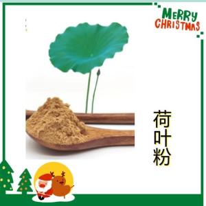 荷叶粉 10:1 水溶喷雾干燥粉