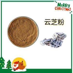 云芝粉 云芝提取液