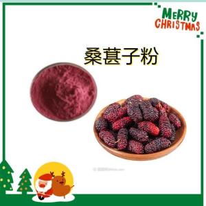 桑葚子粉 植物萃取 质量稳定 桑葚子浓缩粉