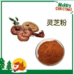 灵芝粉 资质齐全 包邮