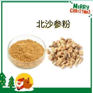 北沙参粉 喷雾干燥粉10:1规格