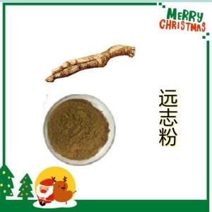 远志粉 生产厂家