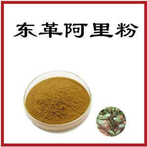 东革阿里粉  六盘韵  资质齐全  规格齐全