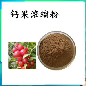 钙果浓缩粉   六盘韵  喷雾干燥粉