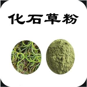 化石草粉  六盘韵  猫须草粉  化石草粉价位