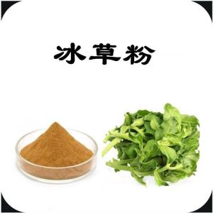 冰草粉  六盘韵  规格齐全  资质齐全