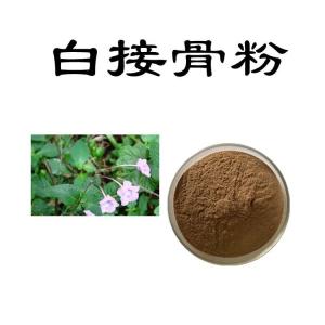 白接骨粉   六盘韵  资质齐全  可定制
