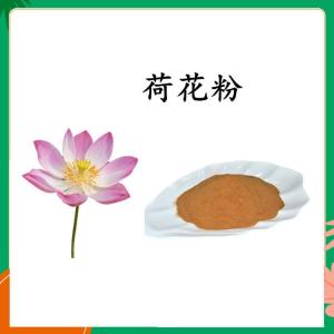 荷花粉 六盘韵  规格齐全  资质齐全