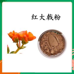 红大戟粉  六盘韵  水溶性  资质齐全 可定制