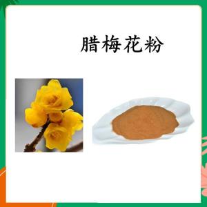 腊梅花粉  六盘韵  各种规格可定制