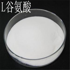 L谷氨酸作用