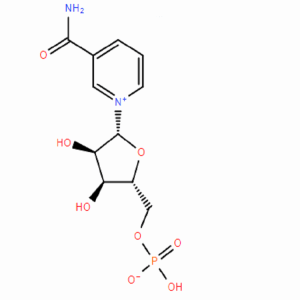 β-烟酰胺单核苷酸，CAS号：1094-61-7常备吨级库存