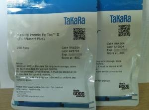 TAKARA TB Green Premix Ex Taq II (Tli RNaseH Plus) RR820A 产品图片
