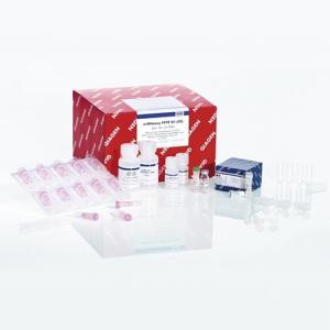 Qiagen 69506 血液/组织基因组DNA提取试剂盒