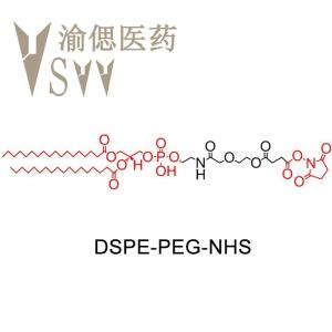 DSPE-PEG-NHS 磷脂聚乙二醇琥珀酰