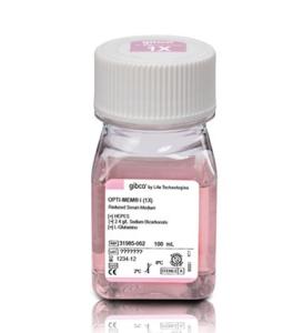 LIPOFECTAMINE RNAIMAX, 0.3MLeach