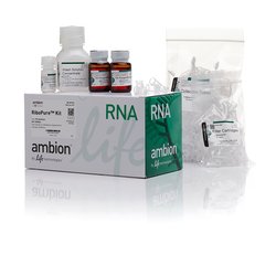 Invitrogen™ RiboPure RNA 纯化试剂盒