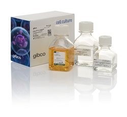 Gibco™ LV-MAX 转染试剂盒
