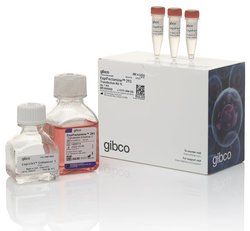 Gibco™ ExpiFectamine 293 转染试剂盒