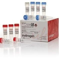 Invitrogen™ Invivofectamine 3.0 转染试剂