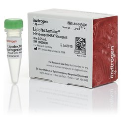Thermo Scientific™ Pierce 6 xHis 蛋白质标签染色试剂套装