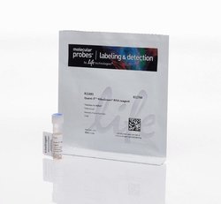 Thermo Scientific™ 溶液法胰蛋白酶酶切和胍基化试剂盒