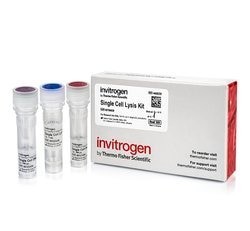 Invitrogen™ PureLink 快速凝胶提取试剂盒和 PCR 纯化套装试剂盒