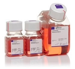 Gibco™ PSC 心肌细胞分化试剂盒