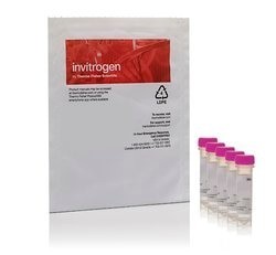 Invitrogen™ CellROX Green 试剂（用于氧化应激检测）