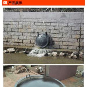 保定防倒灌拍门-不锈钢拍门价格