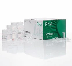 Invitrogen™ PureLink RNA 小提试剂盒