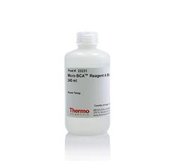 Thermo Scientific™ Micro BCA? Reagent A (MA)