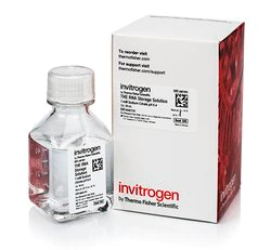 Invitrogen™ RNA储存溶液