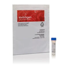 Invitrogen™ CellEvent 半胱天冬酶-3/7 Green 荧光检测试剂