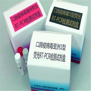 磁珠法DNA纯化回收试剂盒 产品图片
