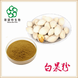 白果喷雾干燥粉  药食同源 斯诺特生物