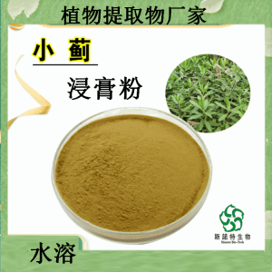 小蓟提取物价格   小蓟速溶粉