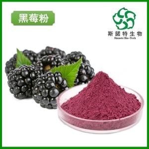 黑莓粉 全水溶黑莓果粉 可定做黑莓浓缩汁
