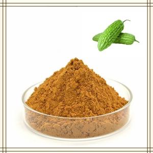苦瓜粉 水溶斯诺特生产