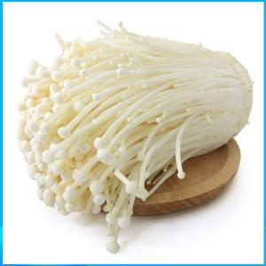 金针菇粉 食品添加斯诺特批发