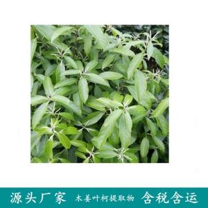 木姜叶柯粉 原料批发