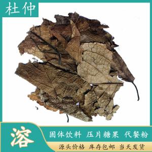 杜仲叶浓缩粉 水溶原料提取 固体饮料 拿样定制