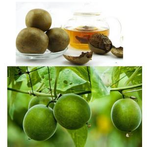 罗汉果粉 水溶原料