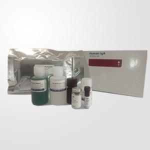 人IgM ELISA试剂盒(Human IgM ELISA Kit) 产品图片