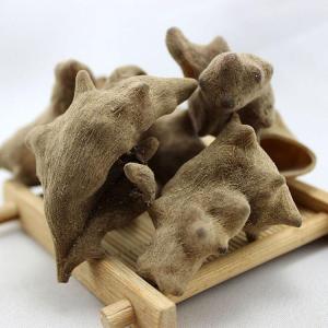 五倍子粉 水溶批发