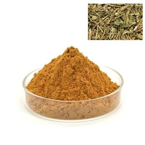 溪黄草提取物 10：1