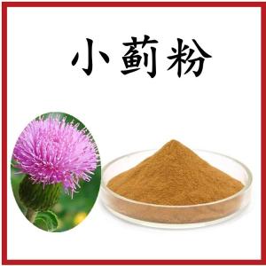 小蓟粉98%    水溶   可定制  可包邮
